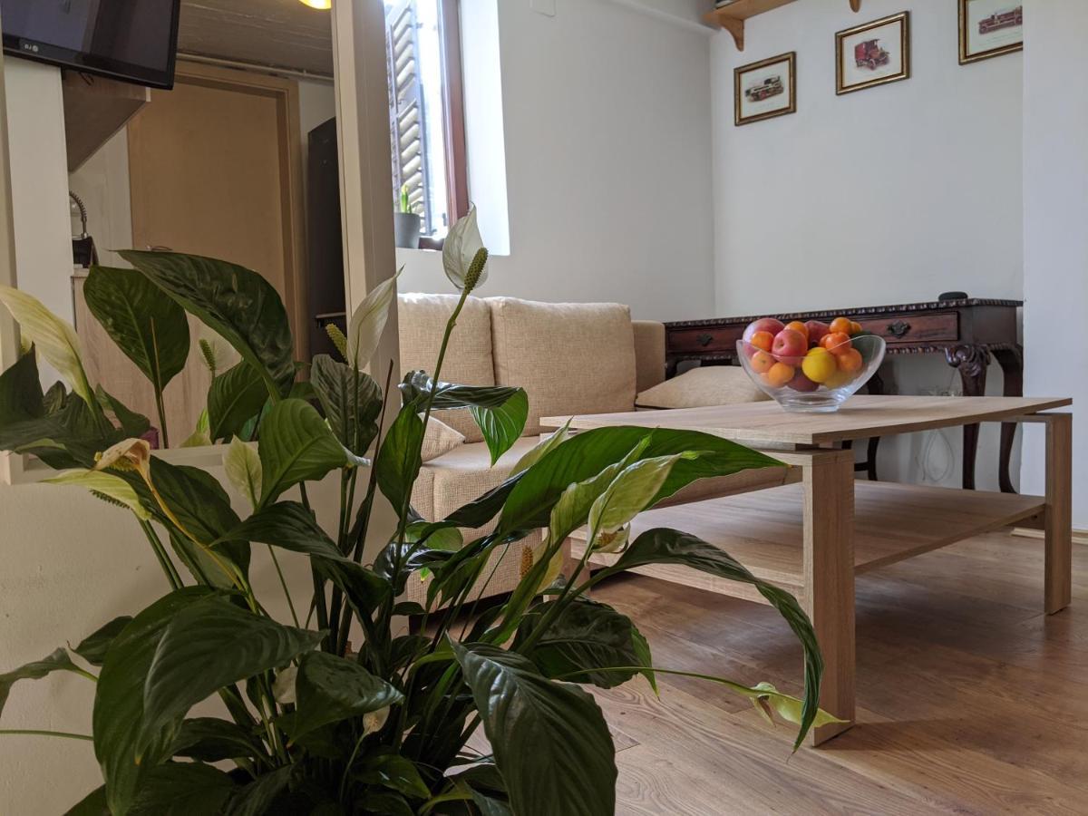Twin-Magnolias Condo With Garden, Parking & Ev Station Zagreb Luaran gambar