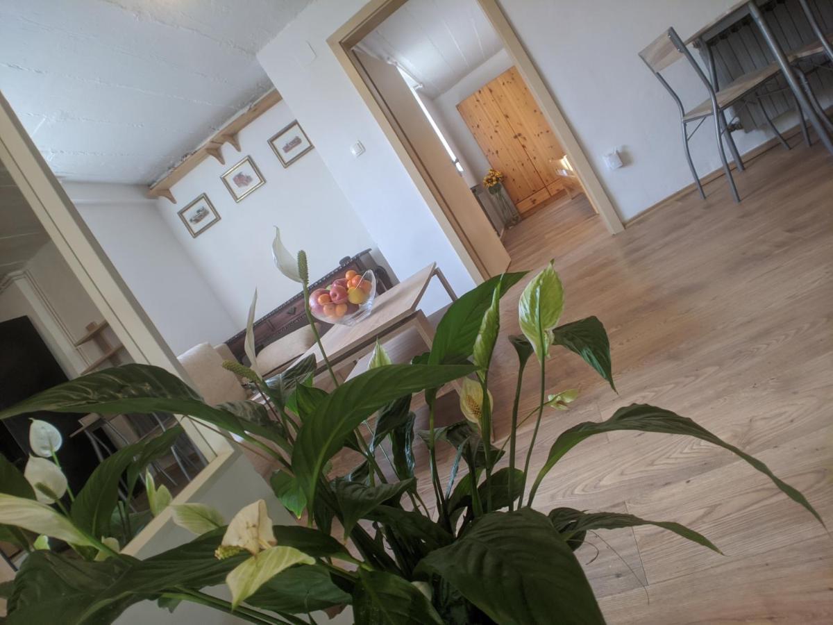 Twin-Magnolias Condo With Garden, Parking & Ev Station Zagreb Luaran gambar