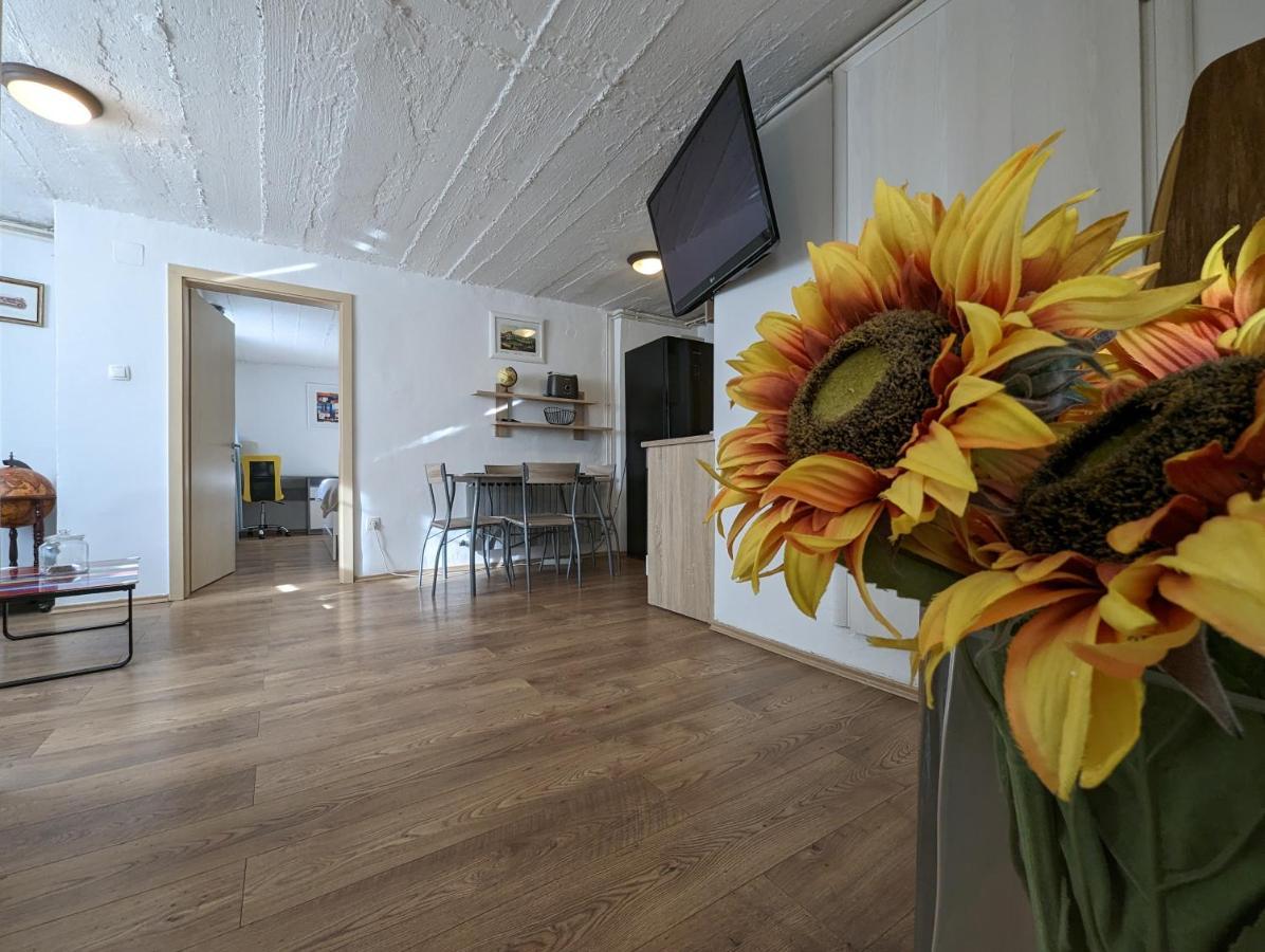 Twin-Magnolias Condo With Garden, Parking & Ev Station Zagreb Luaran gambar