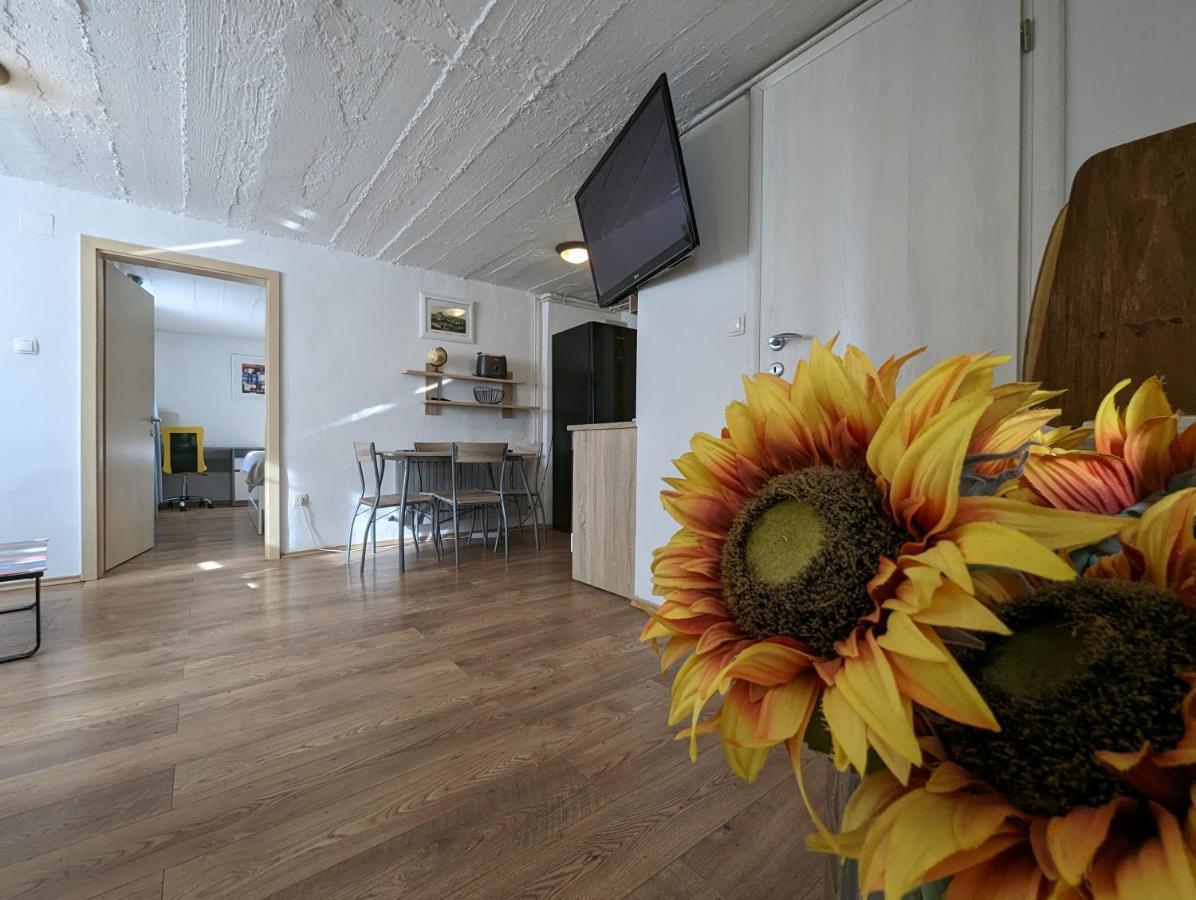 Twin-Magnolias Condo With Garden, Parking & Ev Station Zagreb Luaran gambar